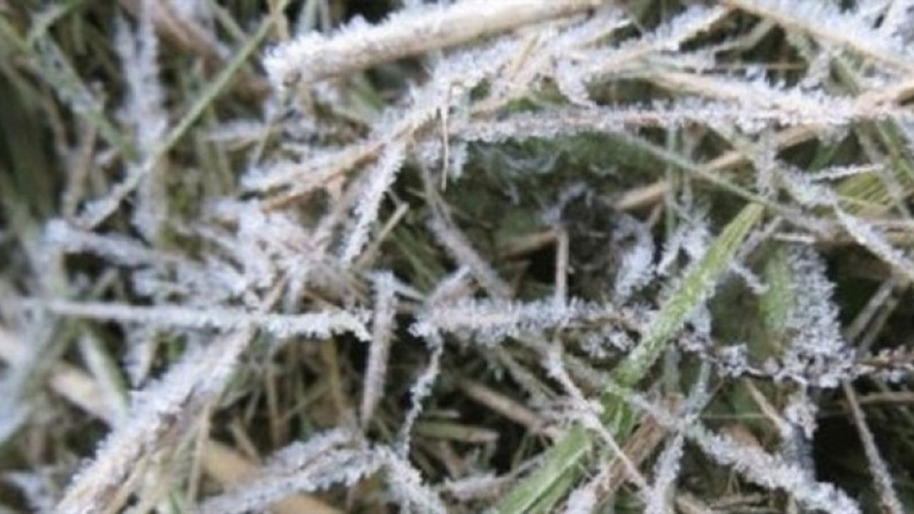 Meteoroloji uyardı… 3 gün don var