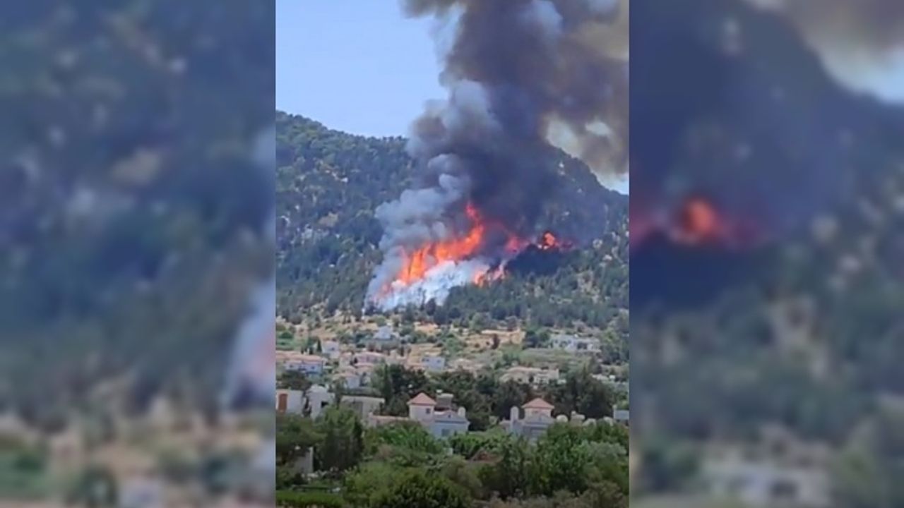 Orman Dairesi Müdürü Karzaoğlu: Yangının sebebi elektrik telleri