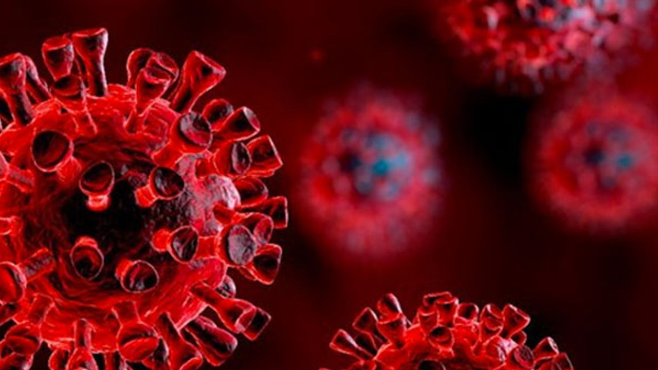 Güney Kıbrıs’ta huzurevlerinde 30 kişi koronavirüs tedavisi görüyor