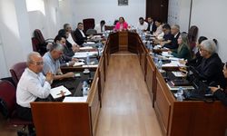 Meclis Hukuk, Siyasi İşler ve Dışilişkiler Komitesi toplandı
