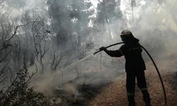 Güney Kıbrıs’ta dünkü yangınlar sonucunda 30 hektardan fazla bir alan yandı