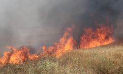 Alsancak ve Haspolat’ta Yangın