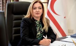 Şahsa ait arazideki su pınarlarının kurumasına ilişkin Ombudsman’a yapılan soruşturma talebi değerlendirildi