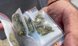 Ukrayna Rusya ile savaşın etkilerini azaltmak için esrarı yasallaştırdı