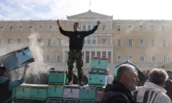 Yunanistan'da arıcılar başkent Atina'da gösteri düzenledi