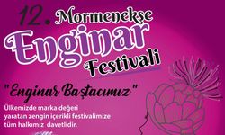 12. Mormenekşe Enginar Festivali 3-5 Mayıs’ta yapılıyor