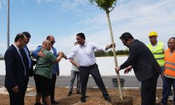 Engelsiz Yaşam Evi'nin ağaçları dikildi: Proje 120 günde tamamlanacak