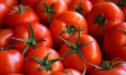 Yerli ve ithal domateste limit üstü kalıntı bulundu