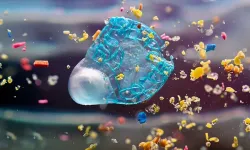 İnsan testislerinde mikroplastikler bulundu: Sperm kalitesi tehlikede