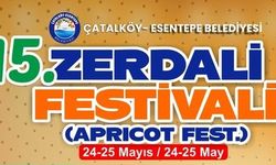 Geleneksel 15. Zerdali Festivali cuma ve cumartesi günleri yapılacak