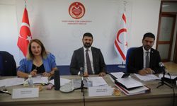 Meclis, İdari, Kamu ve Sağlık İşleri Komitesi gündemindeki yasaları ele aldı