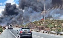 Limasol'da cuma günü çıkan yangınların nedeni kundaklama