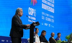 Guterres'ten COP16'da ülkelere "biyoçeşitlilik" çağrısı