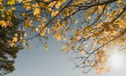 Hava bugün serin ve nemli hava kütlesi etkili olacak