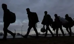 Güney Kıbrıs'ta siyasi iltica başvurularında rekor düşüş