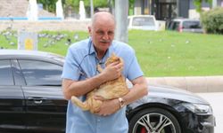 Kedisini kurtarmaya çalışırken ceza yedi, mahkeme hak verdi