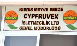Cypfruvex’ten üreticilere duyuru