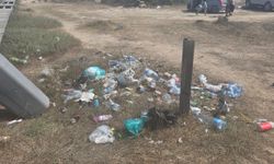 Dipkarpaz’da bayramda çevreye zarar verenlere tepki