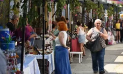 Lefke’de Ceviz Festivali yapılıyor