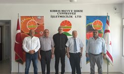 Çavuş: Cypfruvex borçsuz ve sürdürülebilir bir yapıya kavuşturuldu