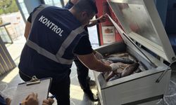 İskele’de su ürünleri denetlendi