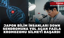 Japon bilim insanları Down Sendromuna yol açan fazla kromozomu silmeyi başardı