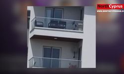 Balkondaki kilitli köpek kurtarıldı!