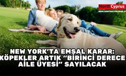 Köpekler artık “Birinci derece aile üyesi” sayılacak