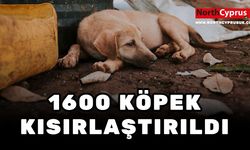 Sokakta ve Barınaktaki Sevimli dostlar için LTB ve Kıbrıs Türk Veteriner Hekimler Birliği iş birliği devam ediyor
