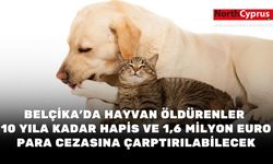 Belçika'da hayvan öldürenler 10 yıla kadar hapis ve 1,6 milyon Euro para cezasına çarptırılabilecek