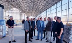 Sanayi Odası Heyeti, Zonguldak’ta topraksız tarım uygulamalarını inceledi