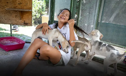 25 tonluk sevgi: Karşıyakalılar can dostlar için birleşti