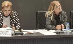 Ombudsman bütçesi oy birliğiyle kabul edildi: 43 milyon 171 bin TL