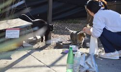 Altın Patiler Derneği’nden acil destek çağrısı: İş dünyasına sosyal sorumluluk daveti