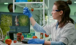 Gıda Mühendisleri Odası: Güvenli gıda, sağlıklı hayvanla başlar