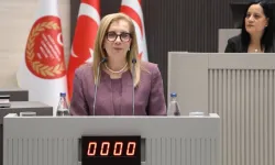 Resmiye Eroğlu Canaltay: Kapsamlı ve modern yöntemlerle yürütülecek bir nüfus sayımına ihtiyaç duyuyoruz