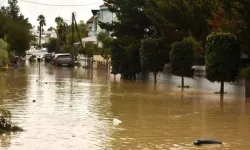 Sigorta ve Reasürans Şirketleri Birliği: Halkın yaralarının sarılması için sorumluluğumuzu yerine getirmeye devam edeceğ