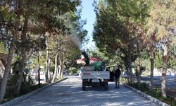 İskele Belediyesi’nin çam kese böceğiyle mücadelesi başladı