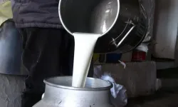 Çiğ süt fiyatlarında yüzde 19 artış
