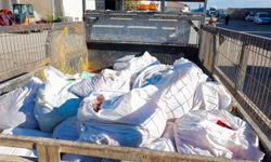 Gazimağusa’da 800 kilo kaçak et ele geçirildi