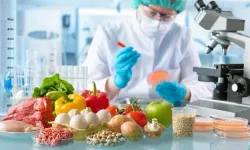 Haftalık gıda denetimleri: 2 yerli üründe tavsiye dışı bitki koruma ürünü tespit edildi