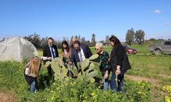 Tarım Bakanı Çavuş: Babutsa’yı yeniden ayağa kaldırıyoruz