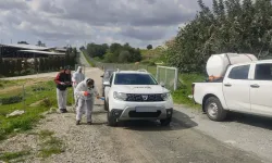 Güney Kıbrıs, şap hastalığı nedeniyle KKTC’den yardım istedi