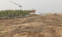 Yeşil Barış Hareketi: İskele’de denize sıfır 21 dönüm orman rant uğruna yok ediliyor