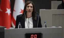 Sıla Usar İncirli: Bugün 26 Nisan için erken seçim önerisi sunacağız