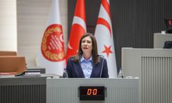 CTP Genel Başkanı Sıla Usar İncirli: Memleket büyük bir sis bulutunun içinde yönetiliyor