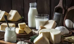 Süt Ürünleri İmalatçılar Birliği: Savaş sektörü ağır şekilde etkiledi; politikalar derhal hayata geçirilmeli