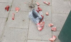 Lefkoşa’da zehirleme şüphesi: Hayvanseverlerden kritik uyarı