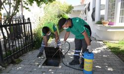 Lefkoşa’da hamam böceğiyle mücadele: 40 binden fazla hane ve iş yerinde jel uygulaması sürüyor