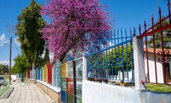 Lefkoşa’da umutların rengi: Çocuk Esirgeme Kurumu bahara büründü